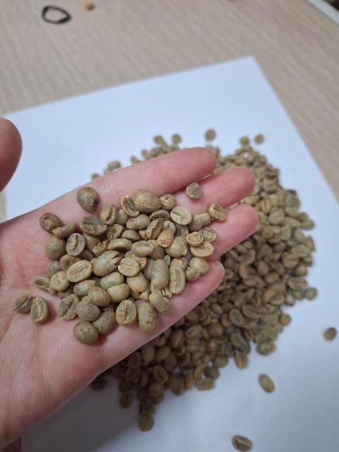 Green Coffee Beans - Image 1