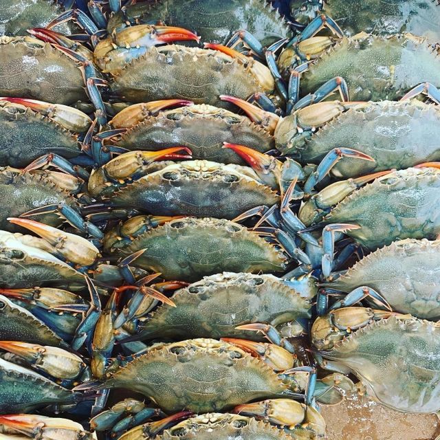 Frozen Crab High Quality Fresh Seafood Suitable for Food Distributors Restaurants Supermarkets and Export Markets - Image 5