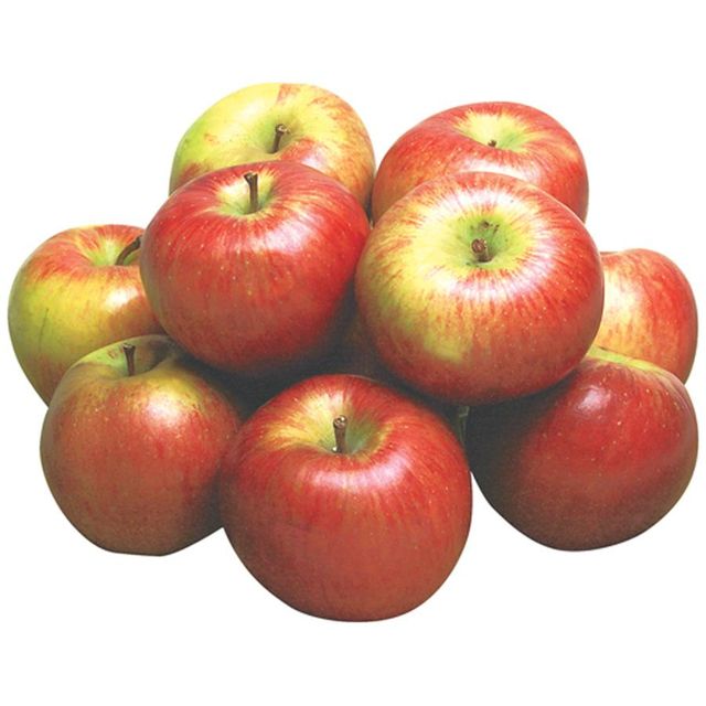 Fresh Red Delicious Apple Premium Hand Selected Fruit For Wholesale Distribution And High Volume Retail Supply - Image 3