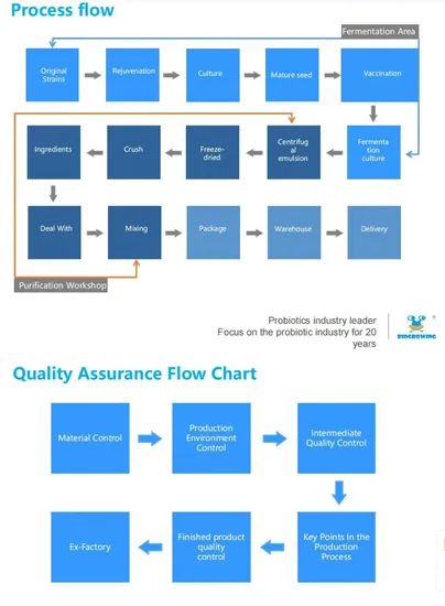 Guidelines Support Probiotic Strains Genetic Identification Functional Food Gut Health - Image 5