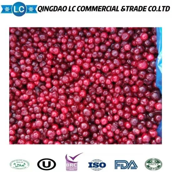 Competitive Price Bulk Frozen IQF Fresh Fruits Red Lingonberry - Image 4
