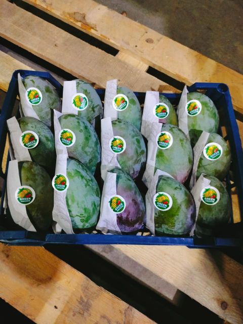 Fresh Mango Organic Yes Origin Egypt Degree of Processing Frozen Degree Of Maturity Mature, Semi-Ripe, Unripe - Image 3