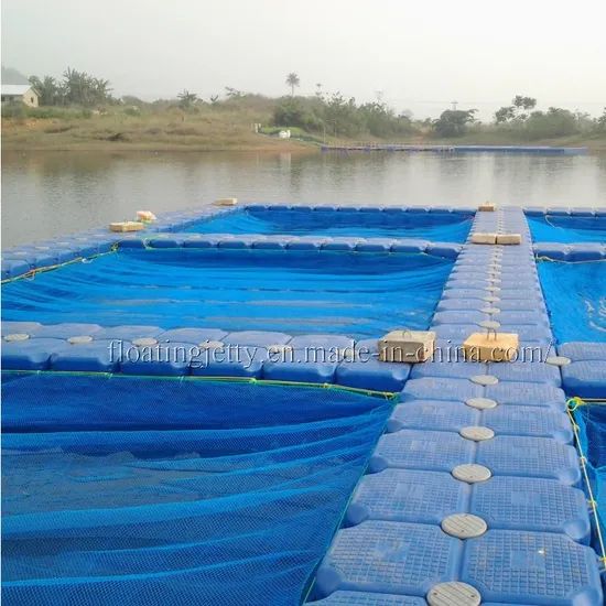Plastic Pontoon Fish Farming Cage Color Gray Weight 7kgs Trademark No Material HDPE Certificate Ce Origin Zhejiang Certification ISO - Image 5