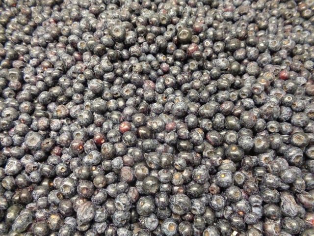 IQF Cultivated Blueberries Class I – 10kg / 25kg - Image 4