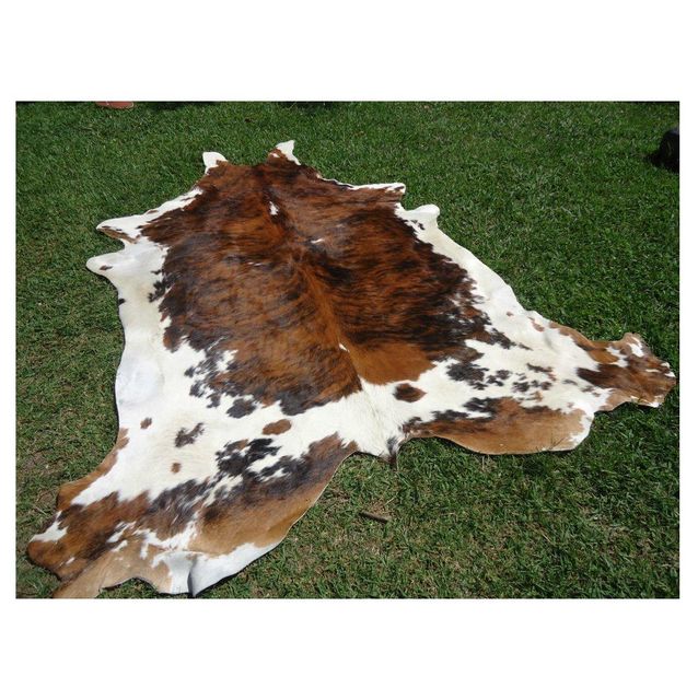 Hot Selling Price of Raw Wet Salted and Dried Cow Leather / Hides / Skins in Bulk Quantity - Image 2