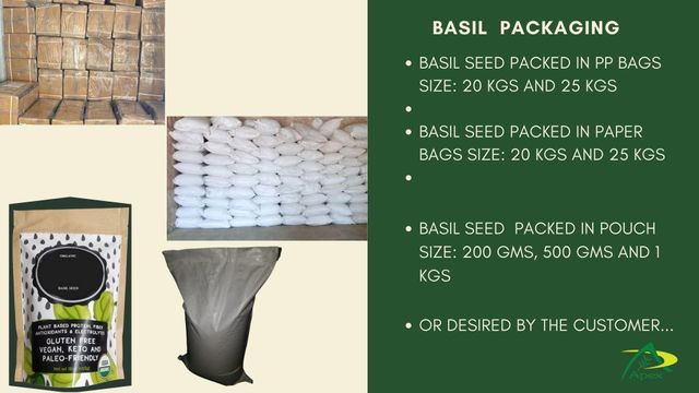 Holy Basil Seeds, Holy Basil Seed, Basil seeds, Basil Seed, Raw Basil Seed, Basil Seed bulk supplier from india - Image 5