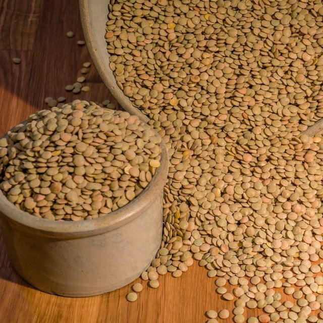 Selected Brown Lentils With Exceptional Purity Brown Lentils Offering High Protein And Trusted Quality For Traders - Image 3
