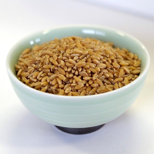 Durum Wheat With 13% Protein Content And Excellent Grain Consistency For Milling And Processing Industries - Image 3