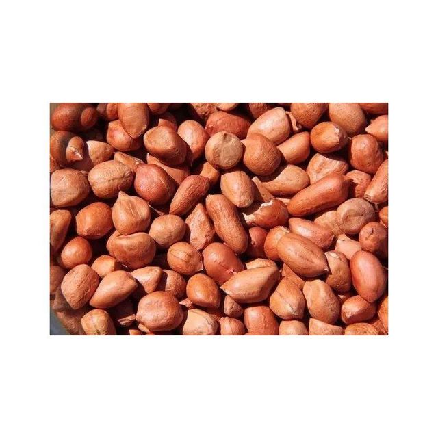 Premium Peanuts bulk supply wholesale affordable price fresh bulk - Image 3