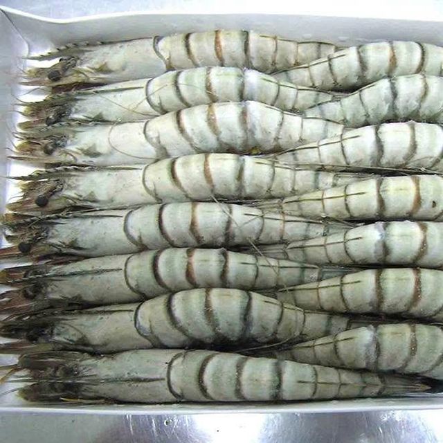 Frozen Prawns Hygienically Processed Premium Seafood Product For Retail Packaging Seafood Retailers And Import Markets - Image 1