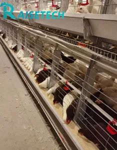 Advanced High-Accuracy Tools for Automatic Chicken Farm Management - Image 4