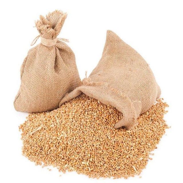Barley Grains Premium Barley Seeds Shelf Life 2 years Packaging Size > 25 kg Place of Origin Romania Brand Name Barley Grains - Image 3