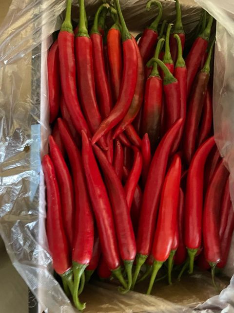 Red Chillie Pepper Origin Egypt Storage Temperature 7°c - 10°c Quality Grade Export Quality (class A) Supply Capacity 1,000 Tons Via Scheduled - Image 3