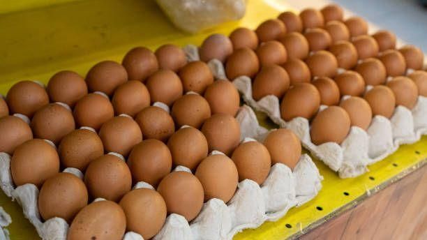 Farm Fresh Brown and White Shell Chicken Table Eggs Grade A Size 5 G Part White Type BROWN Length 3 Cm Style Fresh Organic Yes - Image 6