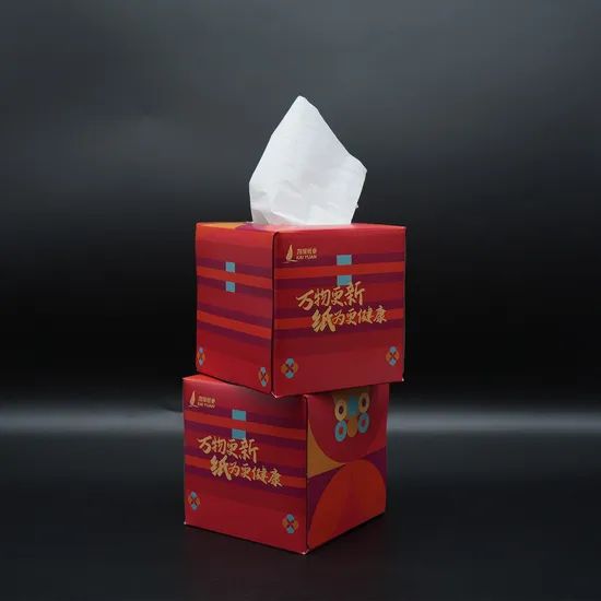Wholesale 3ply Box Biodegradable Facial Tissues MOQ 1*40hq Trademark OEM Layer 2/3/4 Ply Origin Shangdong Price Best - Image 4