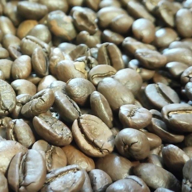 Arabica coffee beans - Image 1