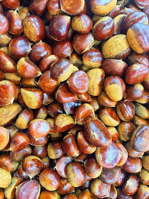 Fresh Chestnut - Image 3