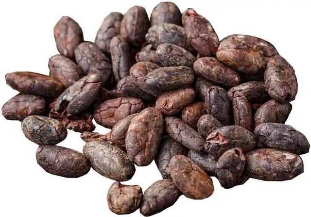 Wholesale Supplier Of Bulk Fresh Stock of Raw Dried Cocoa Beans - Image 3