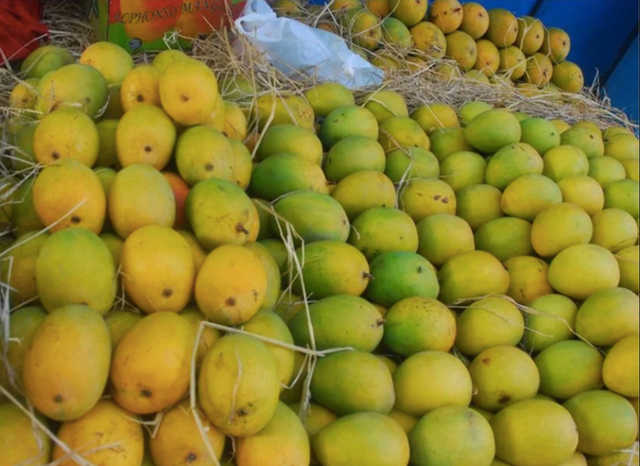 Fresh Mango - Image 1