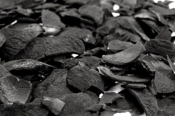 COCONUT SHELL - Image 3