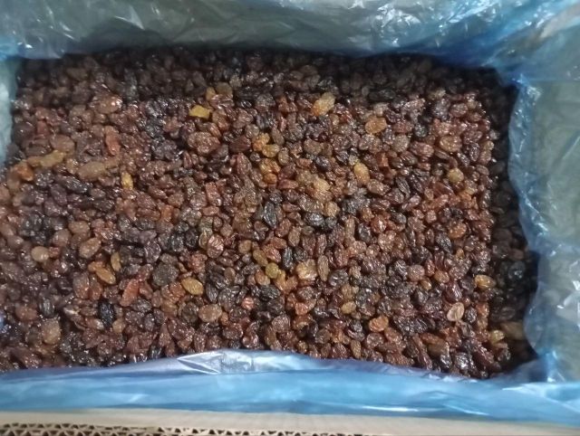 Raisins Sultana (Abjush) 1st garde - origin Uzbekistan - EU company - fast production - Image 4