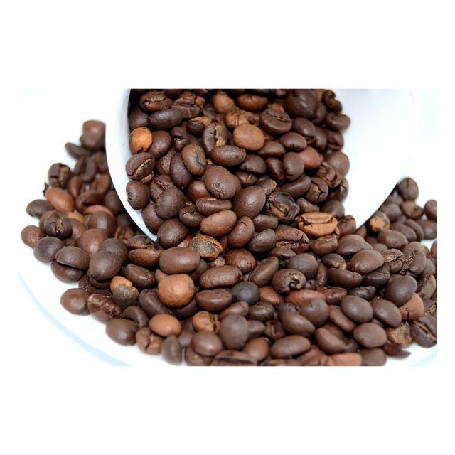 OEM Bulk Export of AA Grade Green Arabica Coffee Beans Low Priced Indian Exporter for Energy Boosting - Image 3