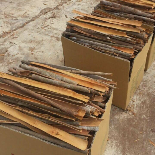 VIETNAM PREMIUM SPLIT CASSIA – Natural Dried Cinnamon Bark Sticks 20-45cm for Spice Processing & Bulk Culinary Use - Image 2