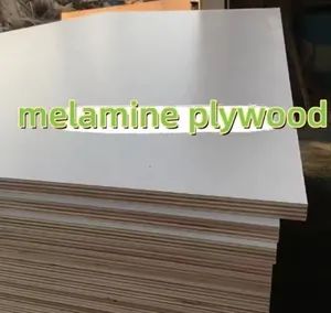 Customizable Thin Plywood Sheet Multi-Layer Composite Modern Design - Image 5