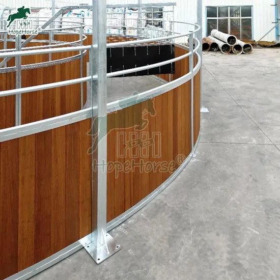 Equestrian Conditioning Equipment for Horses - Image 4