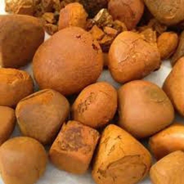 Hot Sale Cow Ox Gallstone Natural Dried Bovine Gallstone Premium Quality for Herbal Medicine and Pharmaceutical Industry - Image 3