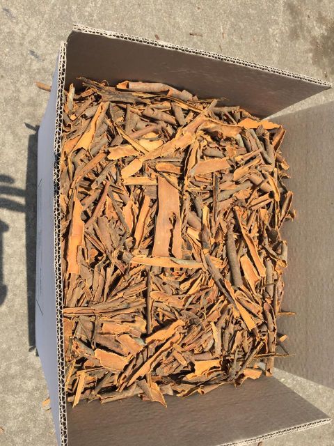 cigar cassia / split cassia /pressed cassia / broken cassia - Image 3