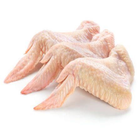 Wholesale frozen chicken wigs Grade A Type WIGS Origin Germany Quantity Variable Lead Time 5–10 Days Sugars 0.0g Per 100g - Image 1