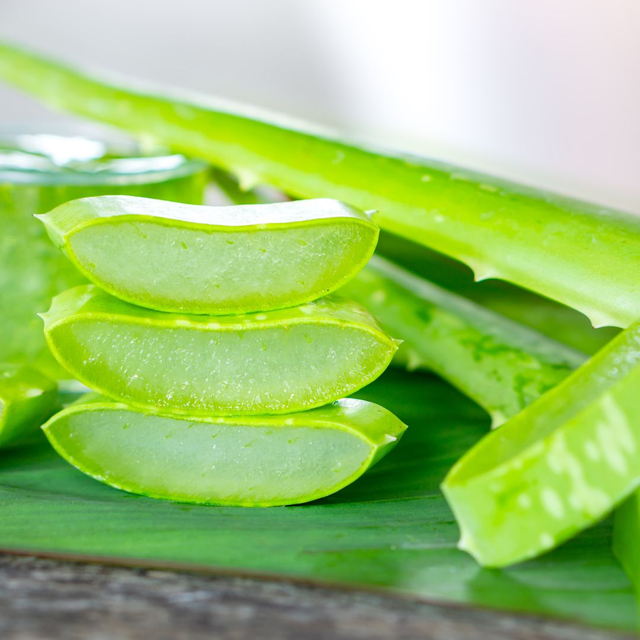 Premium Fresh Aloe Vera Jelly – 100% Natural & Hand-Harvested from Vietnam - Image 3