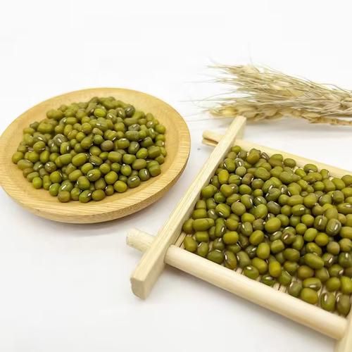 High Quality Green Mung Beans, Affordable Bulk Wholesale for Export - Image 4