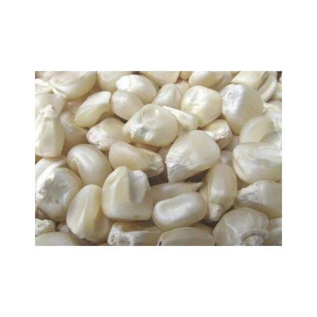 Top-quality white maize for sale ideal for animal feed and food industry - Image 2