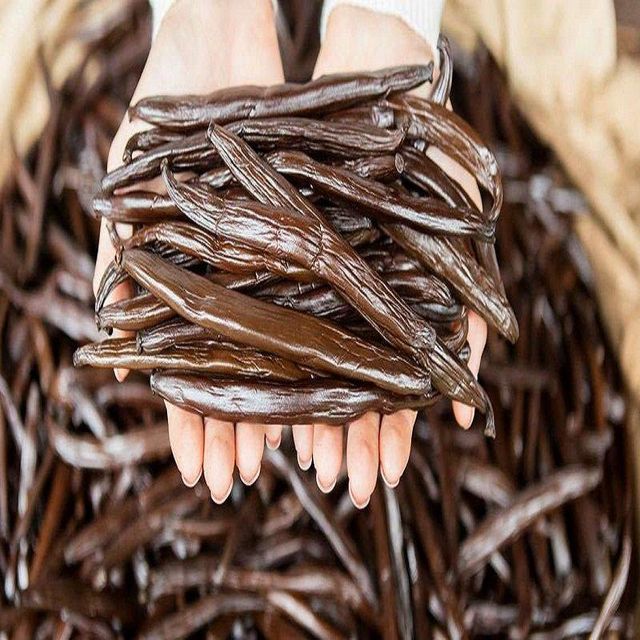Vanilla Beans 16.5cm Long Rich Aroma Whole Gourmet Pods 10kg Natural for Restaurants Chefs at Great Price - Image 3