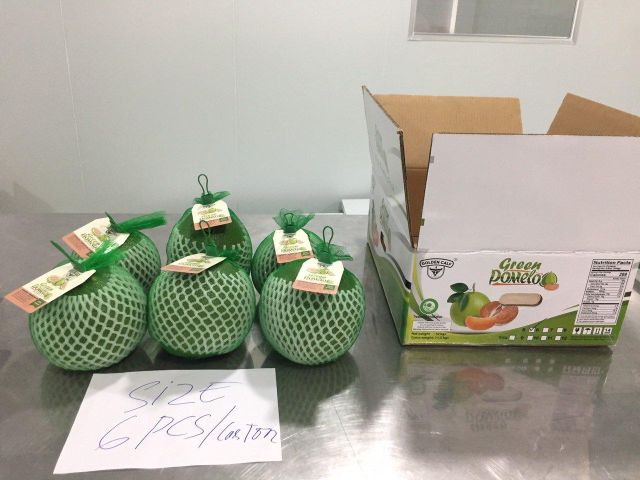 Fresh Pomelo From Vietnam Grade A Fresh Fruit Premium Quality Best Seller Fresh From Farm -WA LINDA 0084989322607 - Image 5