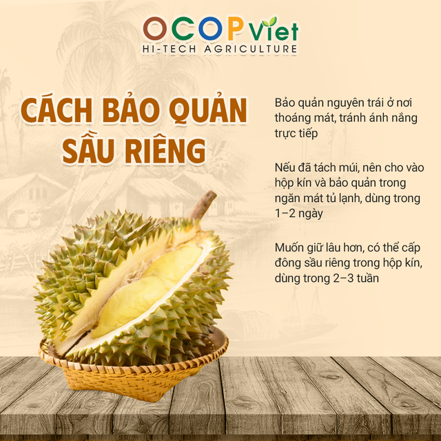 Sầu riêng Thái - Thai Durian - Image 2