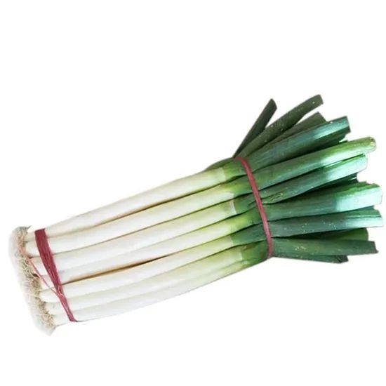 High Quality China Fresh Green Onion/Scallion Grade a+ Trademark aowoshi HS Code 0703902000 Shef Time 5 Months Model NO. - Image 2