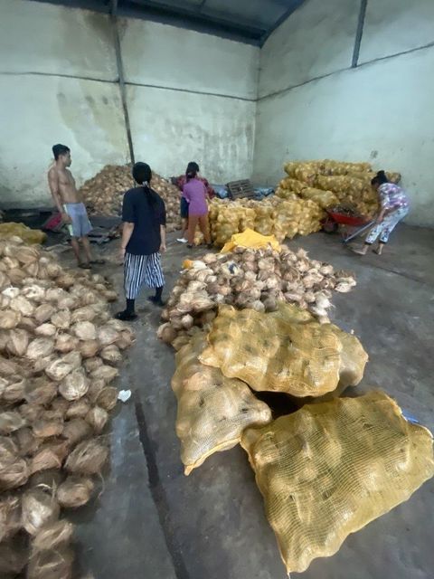 Semi Husked Coconut – product photo 3, product detail gallery
