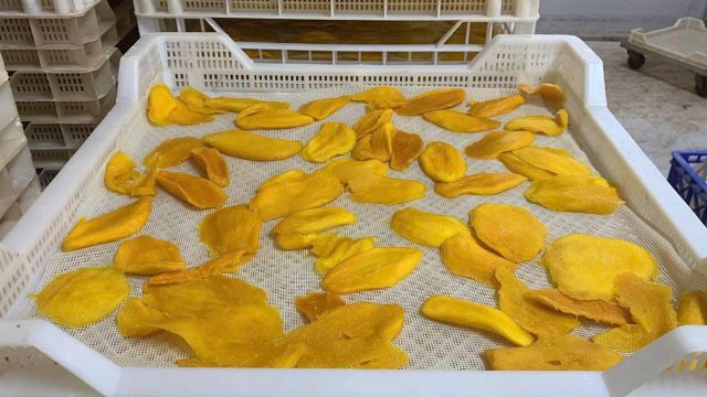 Premium Soft Dried Mango Slices from Vietnam Natural Healthy Fruit Snack OEM/ODM Available - Image 3