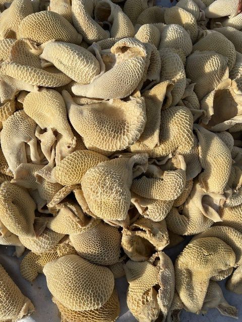 Beef tripe - Image 2