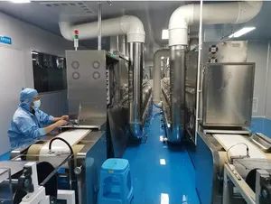 Customized Nuts Chemical Processing Drying Oven Machine Equipment - Image 5