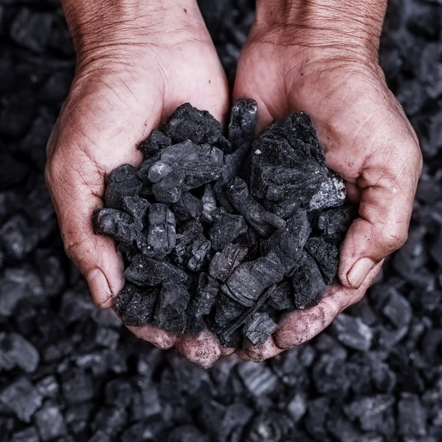 Premium Lump Charcoal with Long Burning and High Heat Output - Image 2