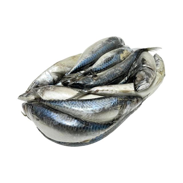 Frozen Mackerel Fish Export Quality Whole Round Selection With Clean Processing And Reliable Cold Storage Handling - Image 1