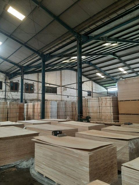 Plywood - Image 3