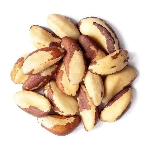 Natural Brazil Nuts Raw Whole Fresh Nuts Bulk & Wholesale Options Cheap Prices - Image 4