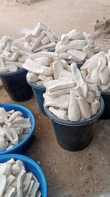 Fresh Cassava - Image 2