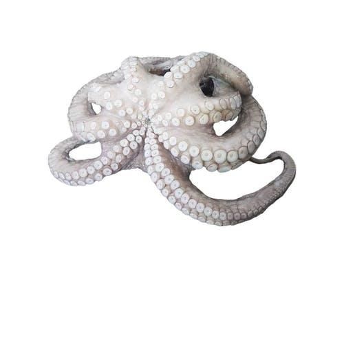 Frozen Fish: Cooked Octopus Leg. Octopus imported from prestigious fishing grounds. - Image 1