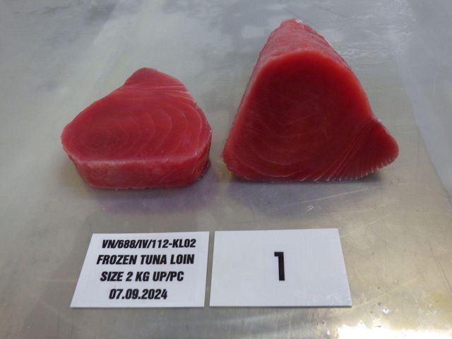 Frozen Yellowfin Tuna Loin - Image 4